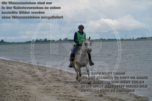 s_K3F04935.JPG